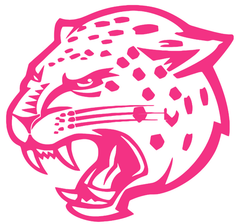 IUPUI Jaguars HOT PINK Team Logo Premium DieCut Vinyl Decal PICK SIZE