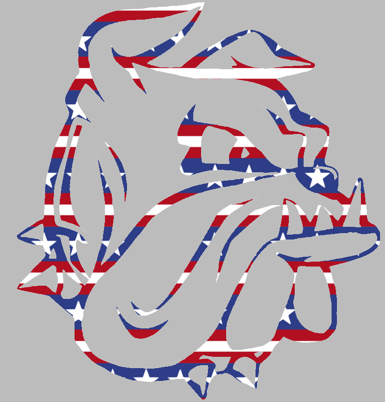 Minnesota Duluth Bulldogs Team Logo Stars & Stripes USA American Flag Vinyl Decal PICK SIZE