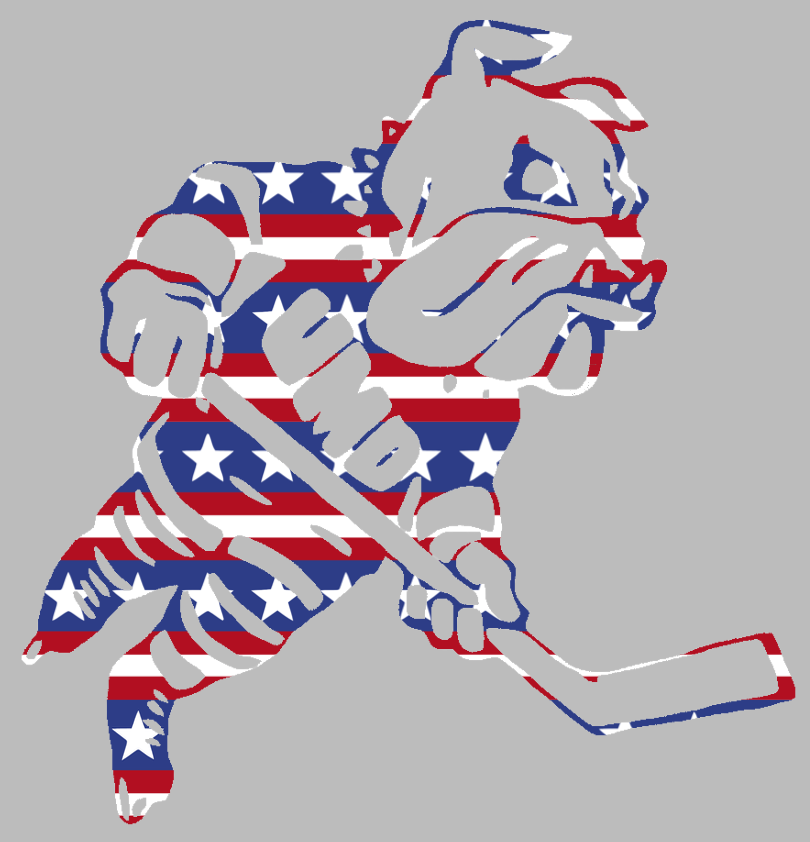 Minnesota Duluth Bulldogs Hockey Logo Stars & Stripes USA American Flag Vinyl Decal PICK SIZE