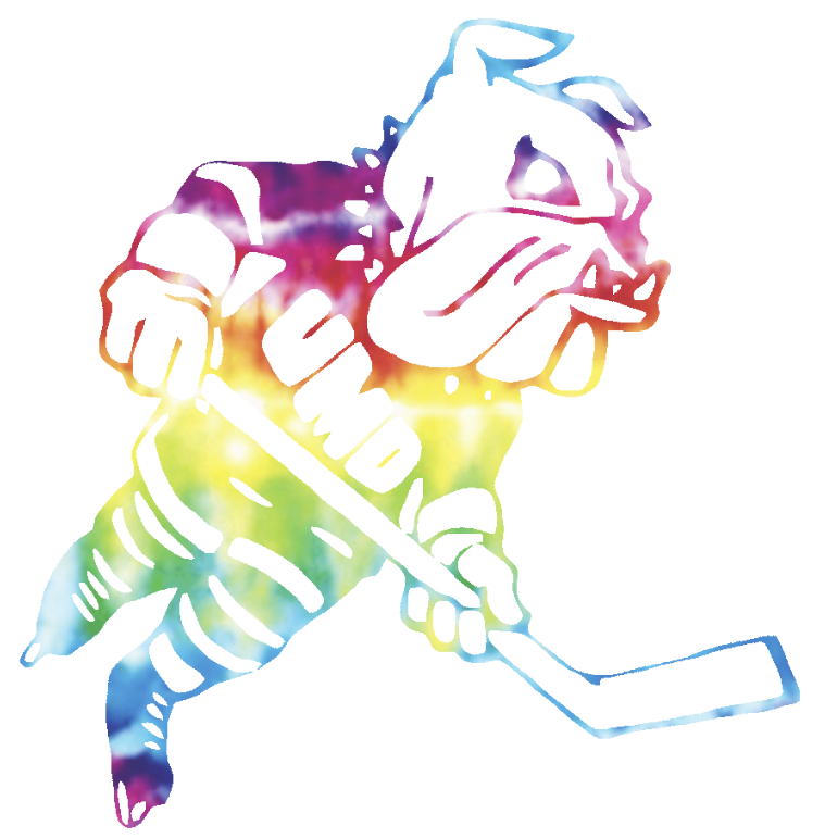 Minnesota Duluth Bulldogs Hockey Logo Crucial Catch Cancer Tie Dye Vinyl Decal PICK SIZE