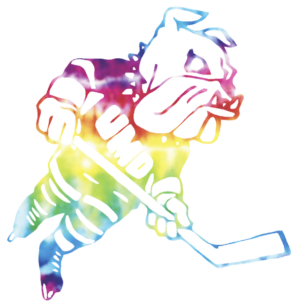 Minnesota Duluth Bulldogs Hockey Logo Crucial Catch Cancer Tie Dye Vinyl Decal PICK SIZE