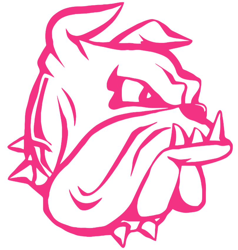 Minnesota Duluth Bulldogs HOT PINK Team Logo Premium DieCut Vinyl Decal PICK SIZE