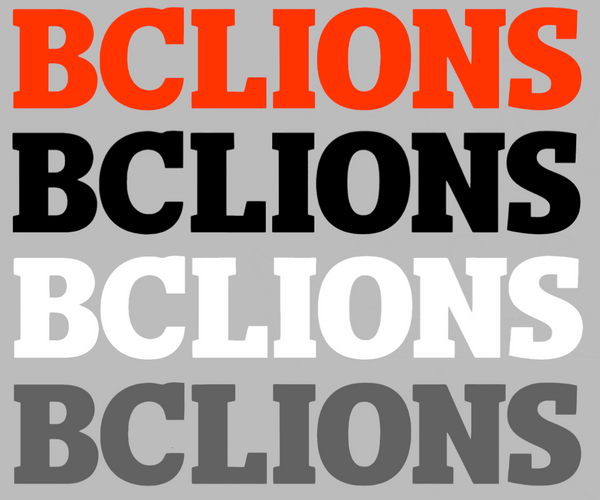 BC Lions Team Name Logo Premium DieCut Vinyl Decal PICK COLOR & SIZE
