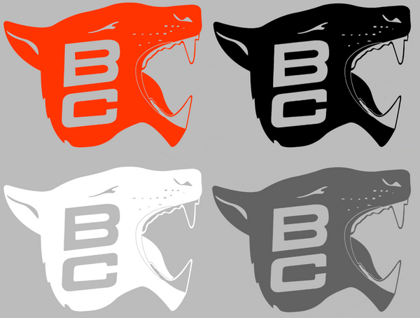 BC Lions Retro Throwback Logo Premium DieCut Vinyl Decal PICK COLOR & SIZE