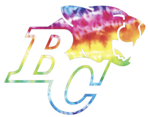 BC Lions Team Logo Crucial Catch Cancer Tie Dye Vinyl Decal PICK SIZE
