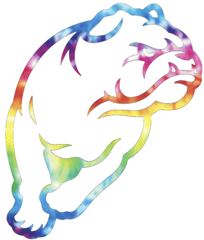 Drake Bulldogs Mascot Logo Crucial Catch Cancer Tie Dye Vinyl Decal PICK SIZE