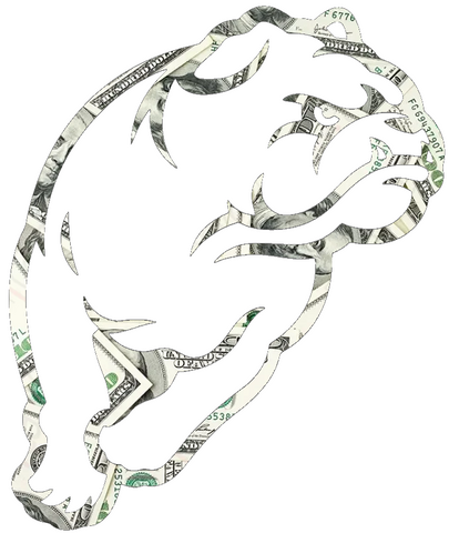 Drake Bulldogs Mascot Logo Money Print Premium DieCut Vinyl Decal PICK SIZE