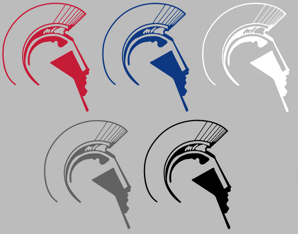 Detroit Mercy Titans Retro Throwback Logo Premium DieCut Vinyl Decal PICK COLOR & SIZE