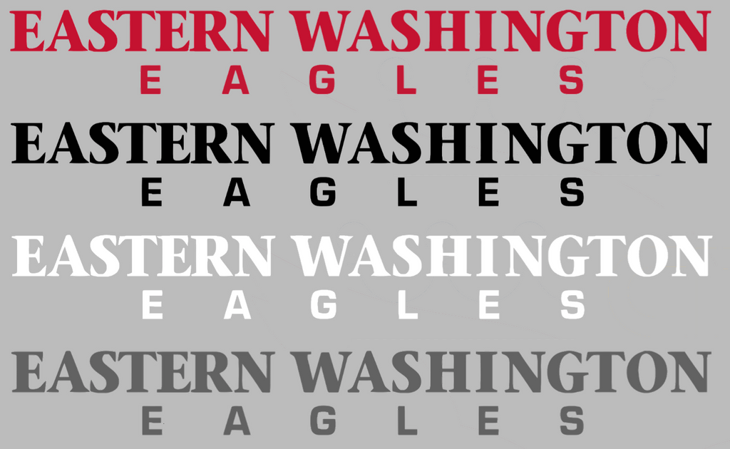 Eastern Washington Eagles Team Name Logo Premium DieCut Vinyl Decal PICK COLOR & SIZE