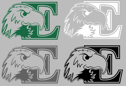 Eastern Michigan Eagles Retro Throwback Logo Premium DieCut Vinyl Decal PICK COLOR & SIZE