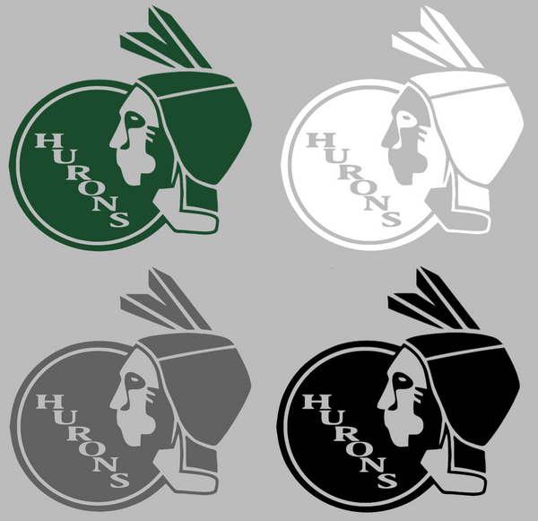 Eastern Michigan Eagles Retro Throwback Logo Premium DieCut Vinyl Decal PICK COLOR & SIZE