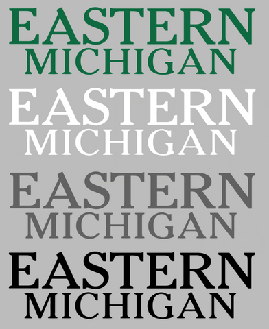 Eastern Michigan Eagles Team Name Logo Premium DieCut Vinyl Decal PICK COLOR & SIZE