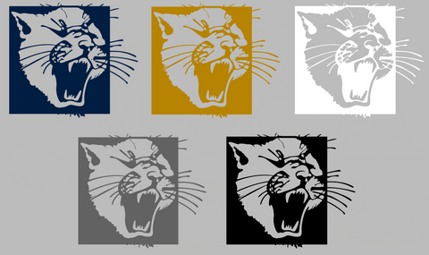 FIU Panthers Retro Throwback Logo Premium DieCut Vinyl Decal PICK COLOR & SIZE