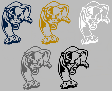 FIU Panthers Team Logo Premium DieCut Vinyl Decal PICK COLOR & SIZE