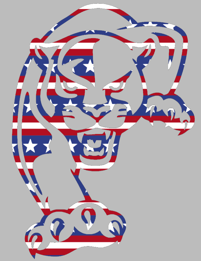 FIU Panthers Team Logo Stars & Stripes USA American Flag Vinyl Decal PICK SIZE