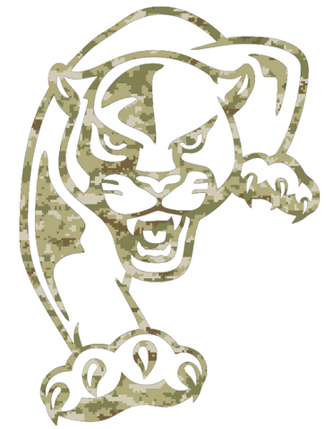 FIU Panthers Team Logo Salute to Service Camouflage Camo Vinyl Decal PICK SIZE