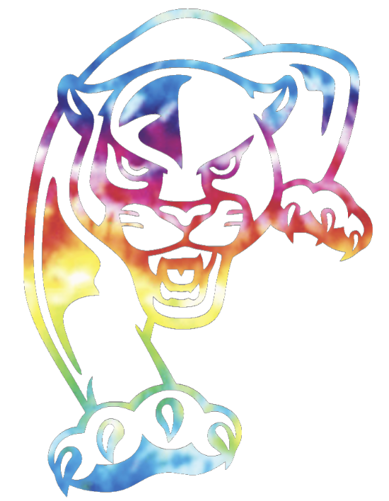 FIU Panthers Team Logo Crucial Catch Cancer Tie Dye Vinyl Decal PICK SIZE