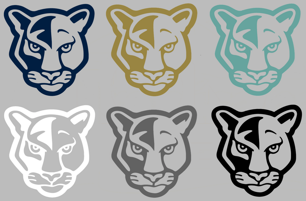 FIU Panthers Retro Throwback Logo Premium DieCut Vinyl Decal PICK COLOR & SIZE