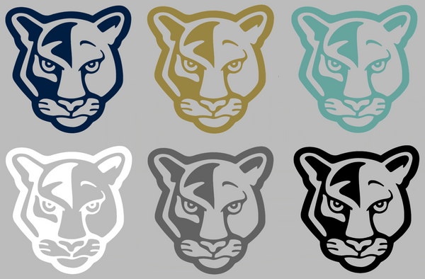 FIU Panthers Retro Throwback Logo Premium DieCut Vinyl Decal PICK COLOR & SIZE