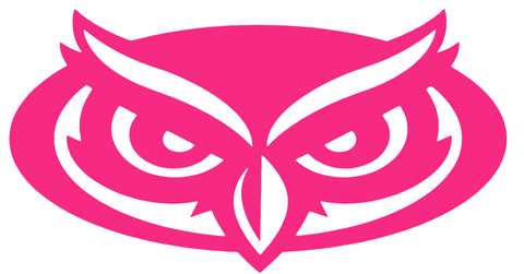 Florida Atlantic Owls HOT PINK Team Logo Premium DieCut Vinyl Decal PICK SIZE