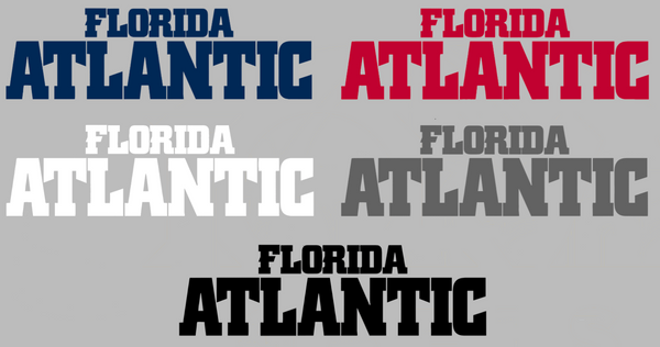 Florida Atlantic Owls Team Name Logo Premium DieCut Vinyl Decal PICK COLOR & SIZE