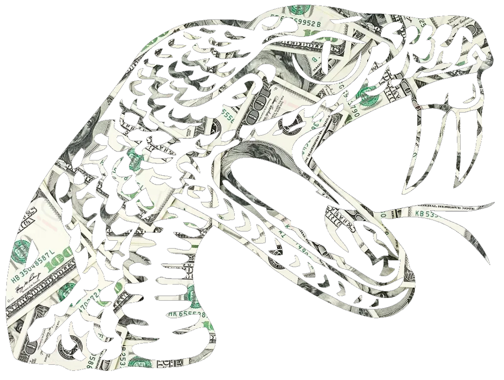 Florida A&M Rattlers Team Logo Money Print Premium DieCut Vinyl Decal PICK SIZE