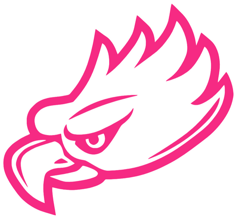 Florida Gulf Coast Eagles HOT PINK Team Logo Premium DieCut Vinyl Decal PICK SIZE
