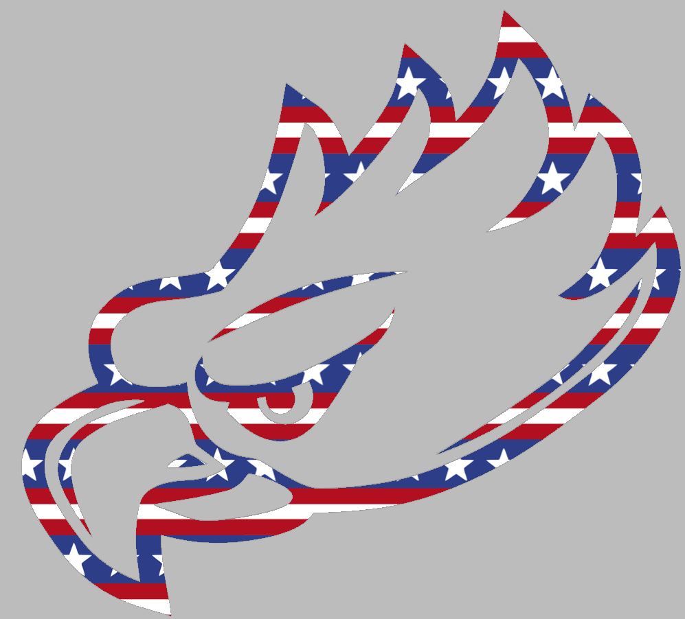 Florida Gulf Coast Eagles Team Logo Stars & Stripes USA American Flag Vinyl Decal PICK SIZE