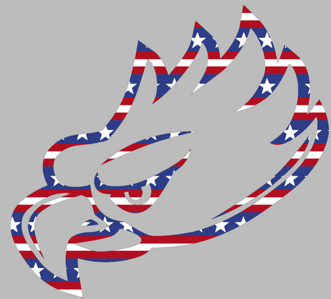 Florida Gulf Coast Eagles Team Logo Stars & Stripes USA American Flag Vinyl Decal PICK SIZE
