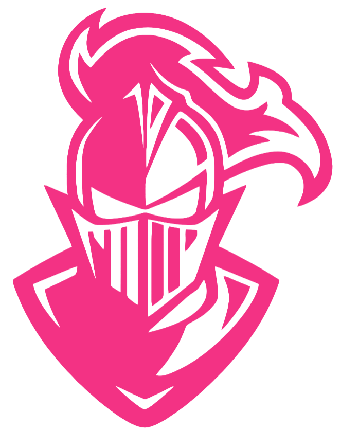 Furman Paladins HOT PINK Mascot Logo Premium DieCut Vinyl Decal PICK SIZE