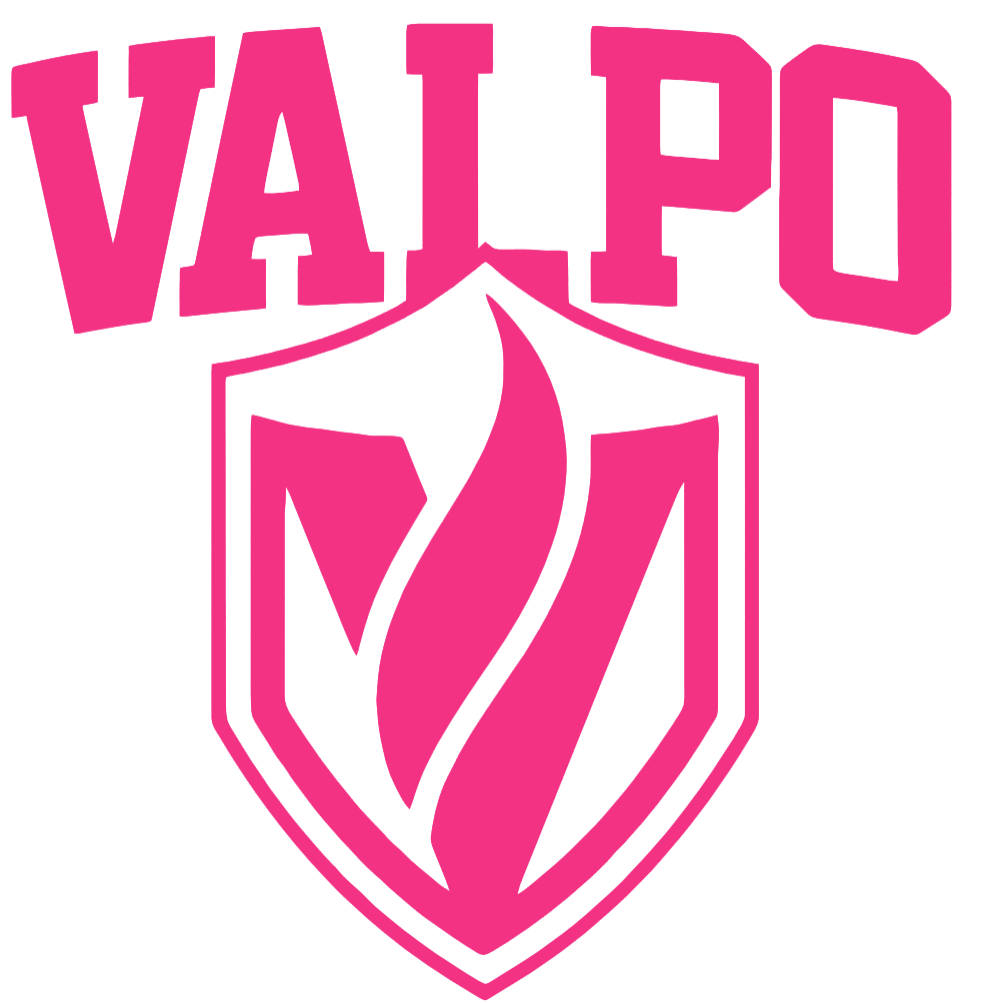 Valparaiso Valpo Beacons HOT PINK Team Logo Premium DieCut Vinyl Decal PICK SIZE