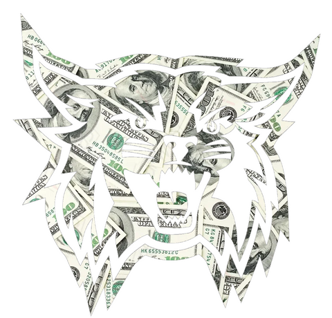 Weber State Wildcats Team Logo Money Print Premium DieCut Vinyl Decal PICK SIZE