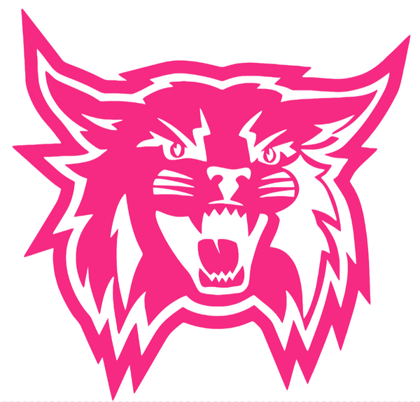 Weber State Wildcats HOT PINK Team Logo Premium DieCut Vinyl Decal PICK SIZE