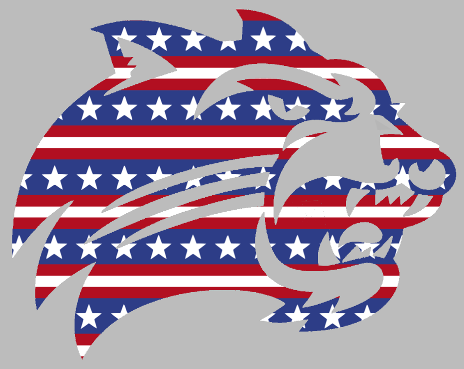 Western Carolina Catamounts Stars & Stripes Team Logo USA American Flag Vinyl Decal PICK SIZE