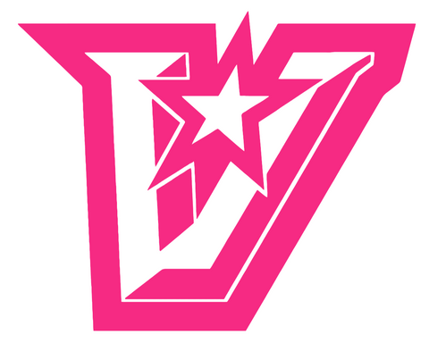 UTRGV Vaqueros HOT PINK Alternate V Logo Premium DieCut Vinyl Decal PICK SIZE