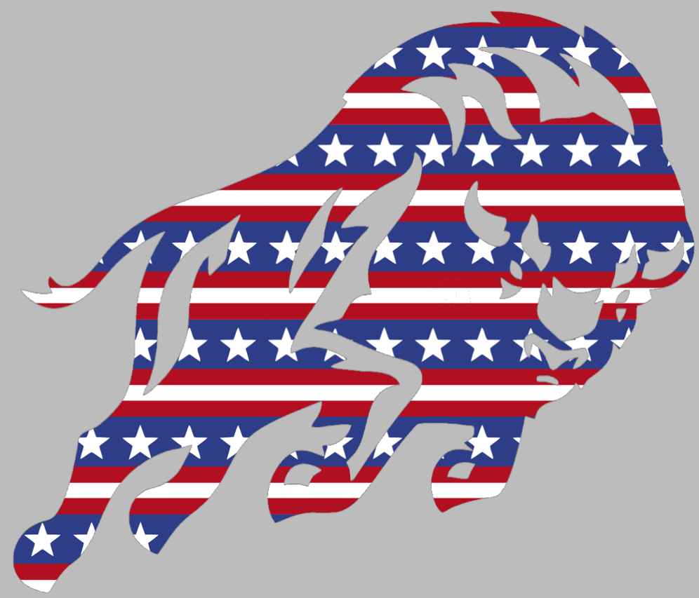 Howard Bison Alternate Logo Stars & Stripes USA American Flag Vinyl Decal PICK SIZE