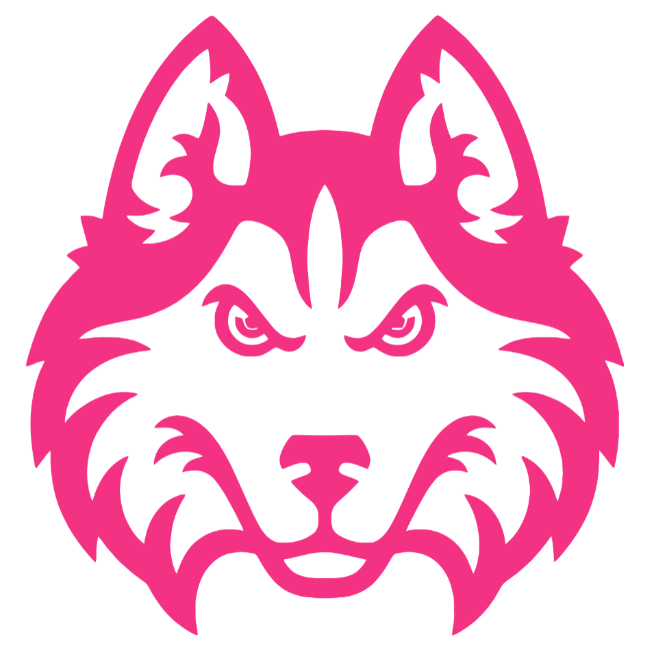 Houston Christian Huskies HOT PINK Team Logo Premium DieCut Vinyl Decal PICK SIZE