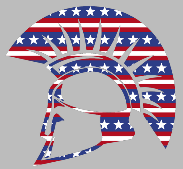 USC Upstate Spartans Mascot Logo Stars & Stripes USA American Flag Vinyl Decal PICK SIZE