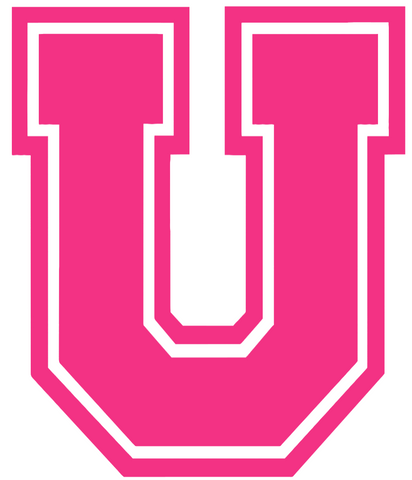 Union Dutchmen HOT PINK Team Logo Premium DieCut Vinyl Decal PICK SIZE