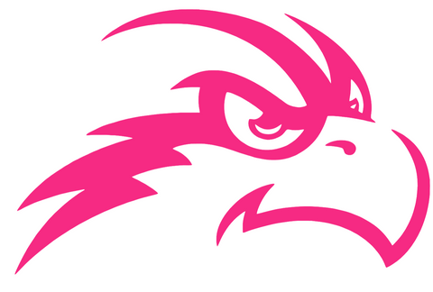North Florida Ospreys HOT PINK Team Logo Premium DieCut Vinyl Decal PICK SIZE