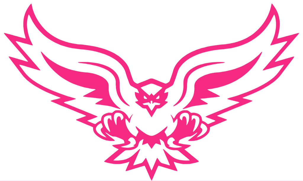 Hartford Hawks HOT PINK Mascot Logo Premium DieCut Vinyl Decal PICK SIZE