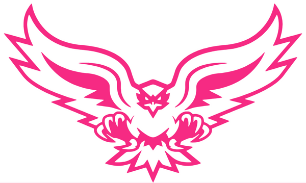Hartford Hawks HOT PINK Mascot Logo Premium DieCut Vinyl Decal PICK SIZE