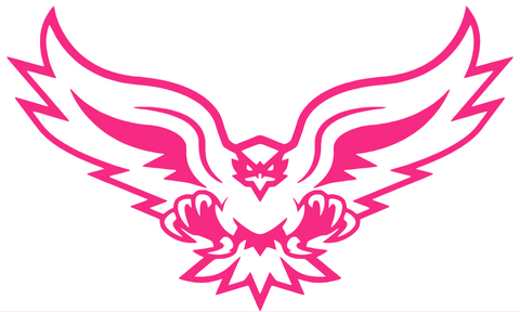 Hartford Hawks HOT PINK Mascot Logo Premium DieCut Vinyl Decal PICK SIZE
