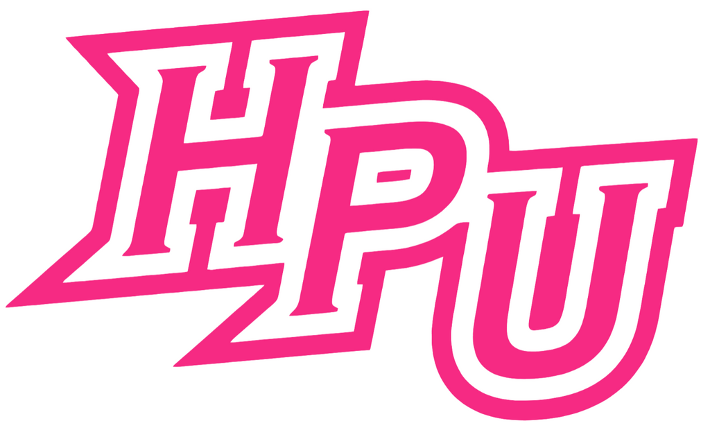 High Point Panthers HOT PINK Team Logo Premium DieCut Vinyl Decal PICK SIZE