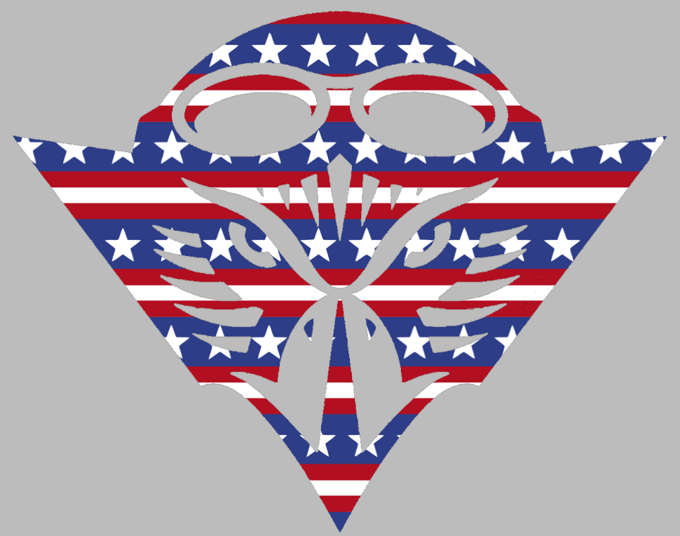 UT Martin Skyhawks Team Logo Stars & Stripes USA American Flag Vinyl Decal PICK SIZE