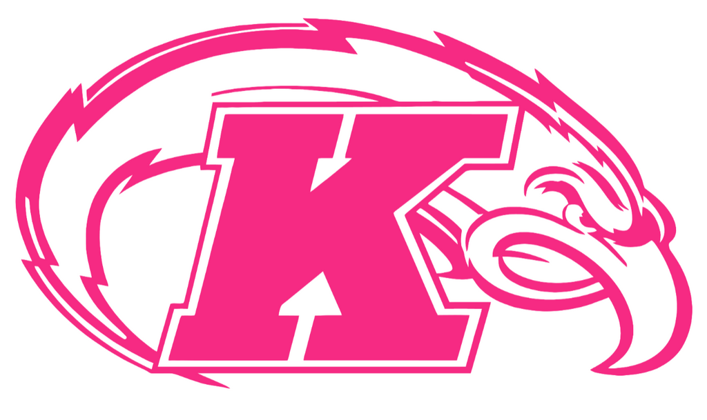 Kent State Golden Flashes HOT PINK Team Logo Premium DieCut Vinyl Decal PICK SIZE