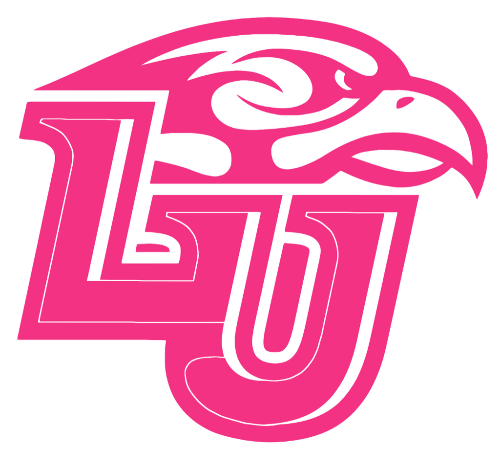Liberty Flames HOT PINK Team Logo Premium DieCut Vinyl Decal PICK SIZE