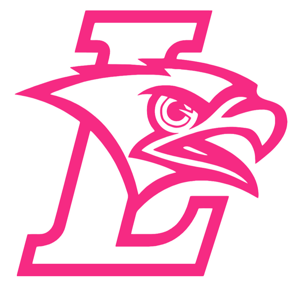 Lehigh Mountain Hawks HOT PINK Team Logo Premium DieCut Vinyl Decal PICK SIZE