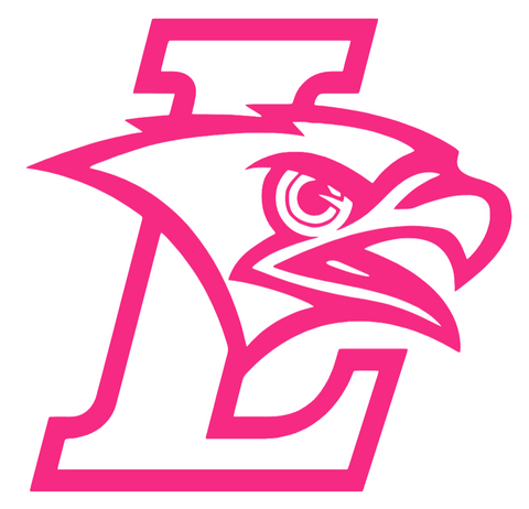 Lehigh Mountain Hawks HOT PINK Team Logo Premium DieCut Vinyl Decal PICK SIZE