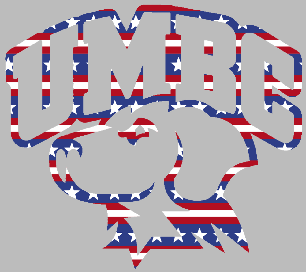 UMBC Retrievers Team Logo Stars & Stripes USA American Flag Vinyl Decal PICK SIZE